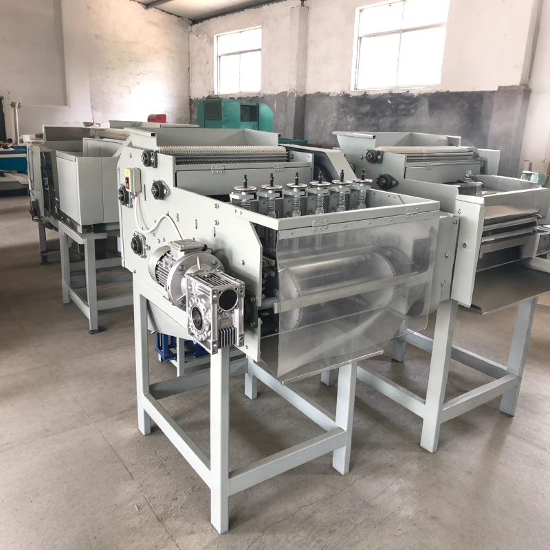 Open Type Chain Drive Cashew Nut Shelling Machine Easy Maintenance Visible Structure Industrial Nut Sheller High Output Custom