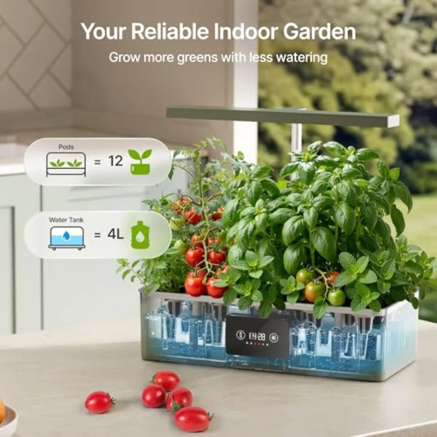 Compact Hydroponics Growing System Premium Kitchen Countertop Kit — Dimmable 24W Grow Light Plus Timer