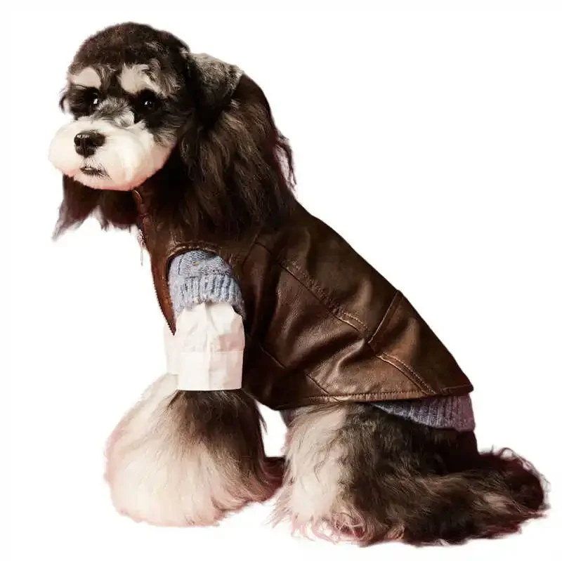 Pet Dog Hoodie Jacket with Vest for Spring and Autumn, Perfectly Fits Small Breeds like Shih Tzus, Pekingese, and Bichons