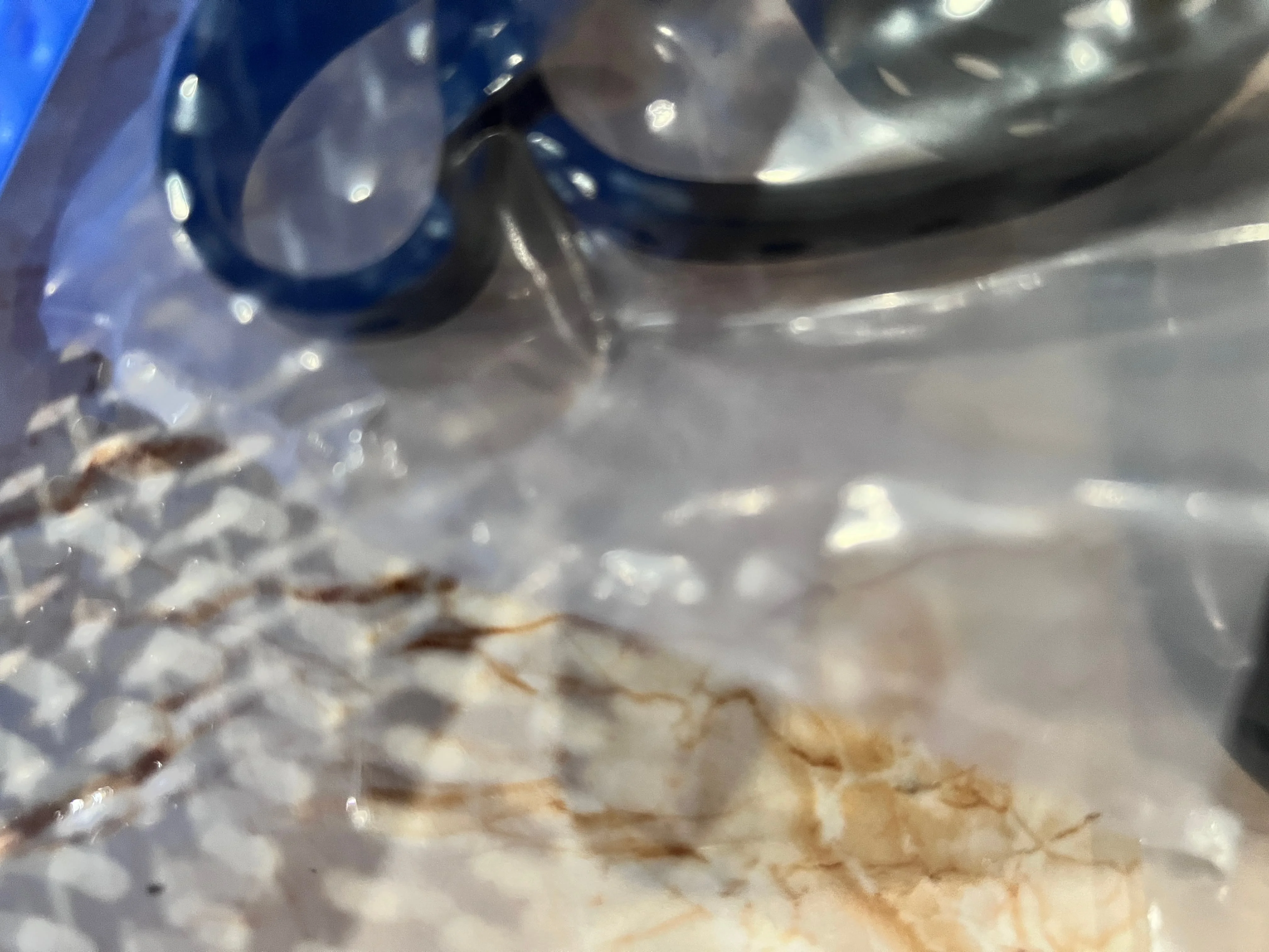 Long Life Transfer … - image