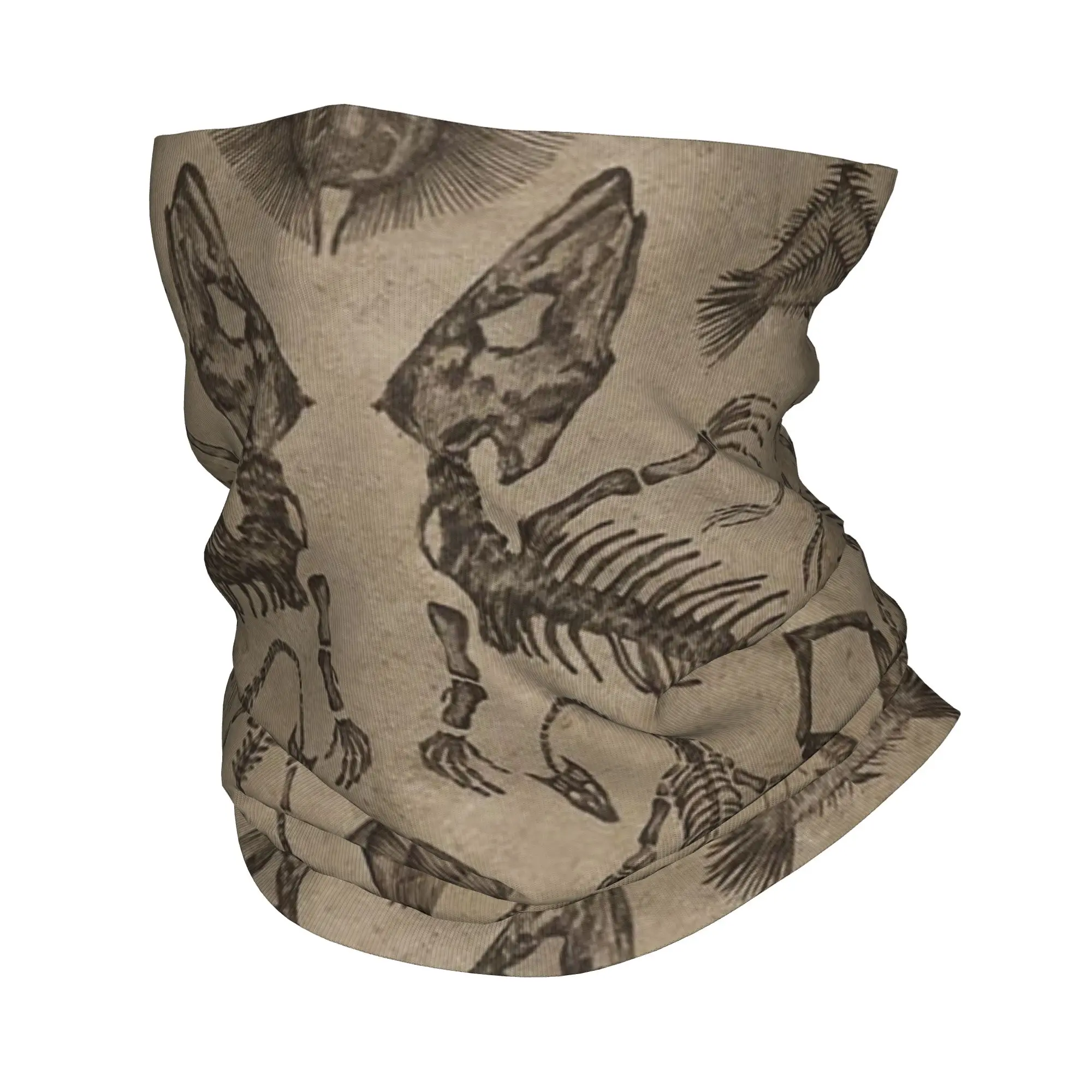 Dinosaur Fossil Halloween Bandana Neck Gaiter Printed Face Scarf Warm Face Mask Cycling For Men Women Adult