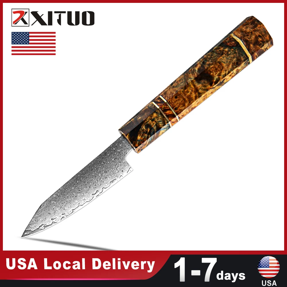 USA Warehouse Fast Shipping 3.5 Inch Damascus Steel Paring Knife Octagonal Wood Handle Kitchen Stainless Steel Sharp Fruit Knife