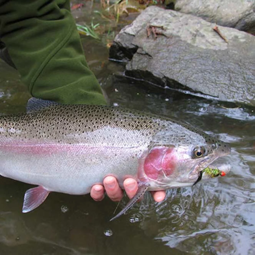 MUUNN 50 Stück 1,5~3,5mm Fliegenfischen-Schlitzperlen in 5 Farben, Bass- und Forellenangeln, Wolfram-Jigs, Haken, Süßwasserfischköder, Angelzubehör – Detail 3