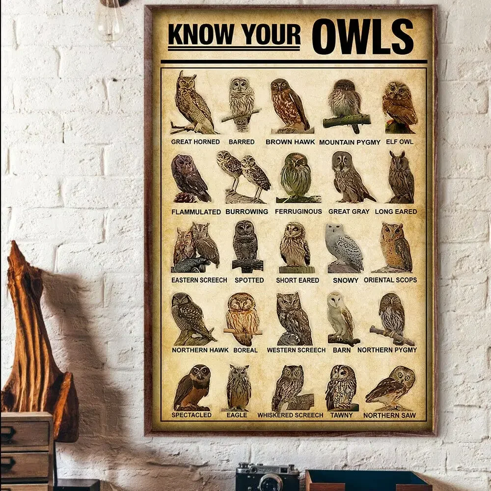 Vintage Metal Tin Sign Know Your Owls Vert Breeds Knowledge Poster Tin Sign Poster Vintage Metal Signs for Bar Music Club Man Ca