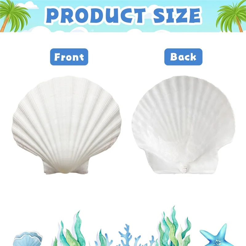 AT69 -30 Pcs Natural Scallop Shells 2-3 Inch White Seashells For Crafts DIY Painting And Ocean Summer Beach Wedding Home