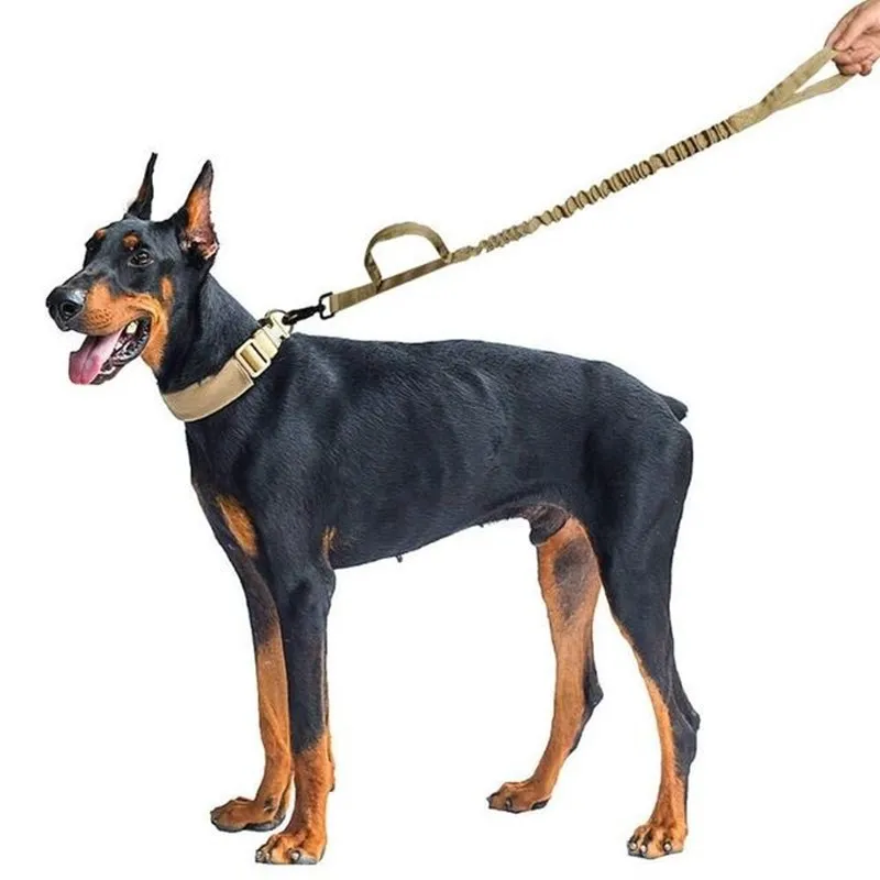 Chaleco táctico para perros – Impermeable y resistente talla grande - imagen 2