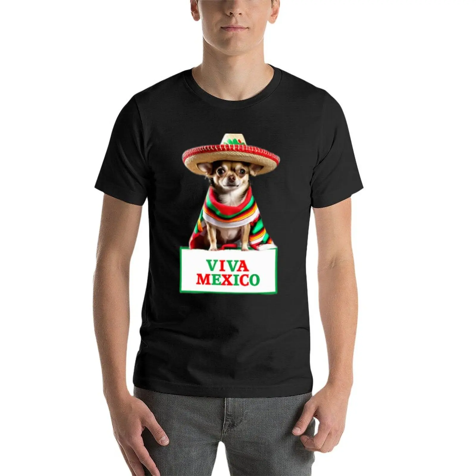 Chihuahua Viva Mexico Mexican Sombrero Hat Poncho Clothes T-Shirt plain graphics heavyweights mens t shirts