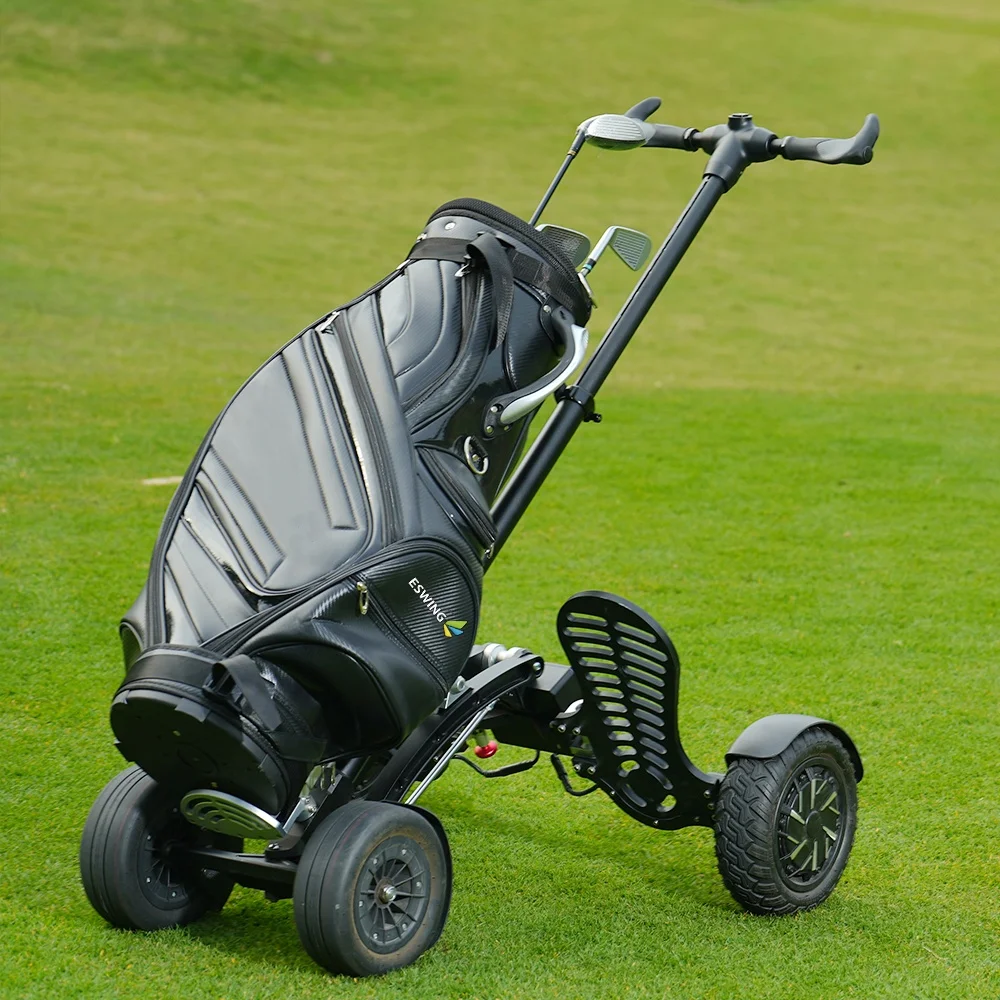 

2025 New Product 1600W Electric Golf Scooter Four Wheel 10 Inch Folding Lightweight Aluminum Alloy Golf Cart Lithium Battery