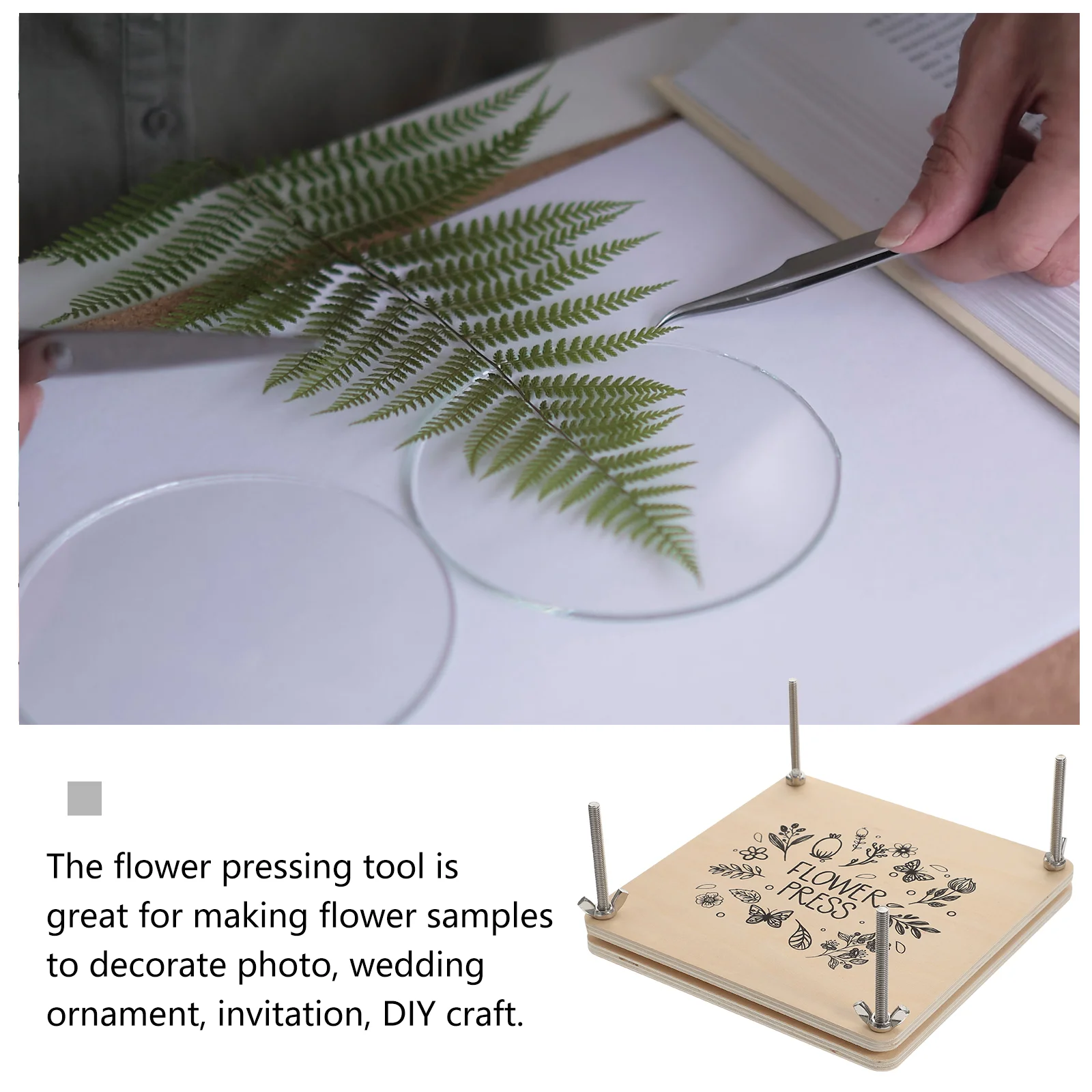 Press Flower Foliage Specimen Pressing Kit DIY Plants Dried Flowers Fresh Professional Supply Leaf