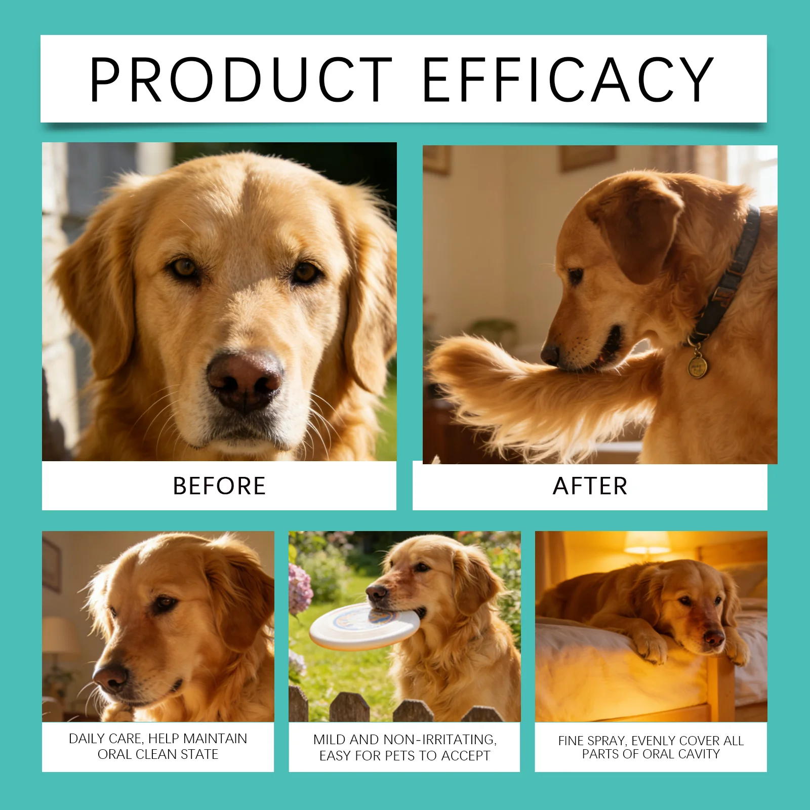 Pet Oral Care Spray for Bad Breath Relief and Dog Teeth Cleaning to Reduce Plaque Tartar No Brushing 100ml Natural Pet Supplies