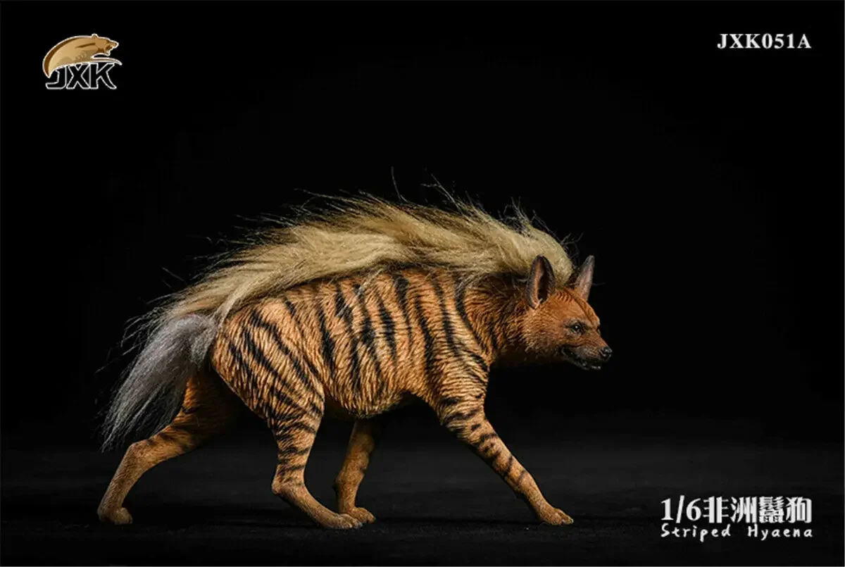 JXK 1:6 Scale Africa Striped Hyaena Figure Dog Hyaenidae Animal Collector Toy Resin Decoration Gift