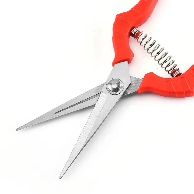 สวนเครื่องมือช่างสแตนเลสกรรไกรทําสวนกรรไกรตัดแต่งกิ่ง Pruner Secateurs