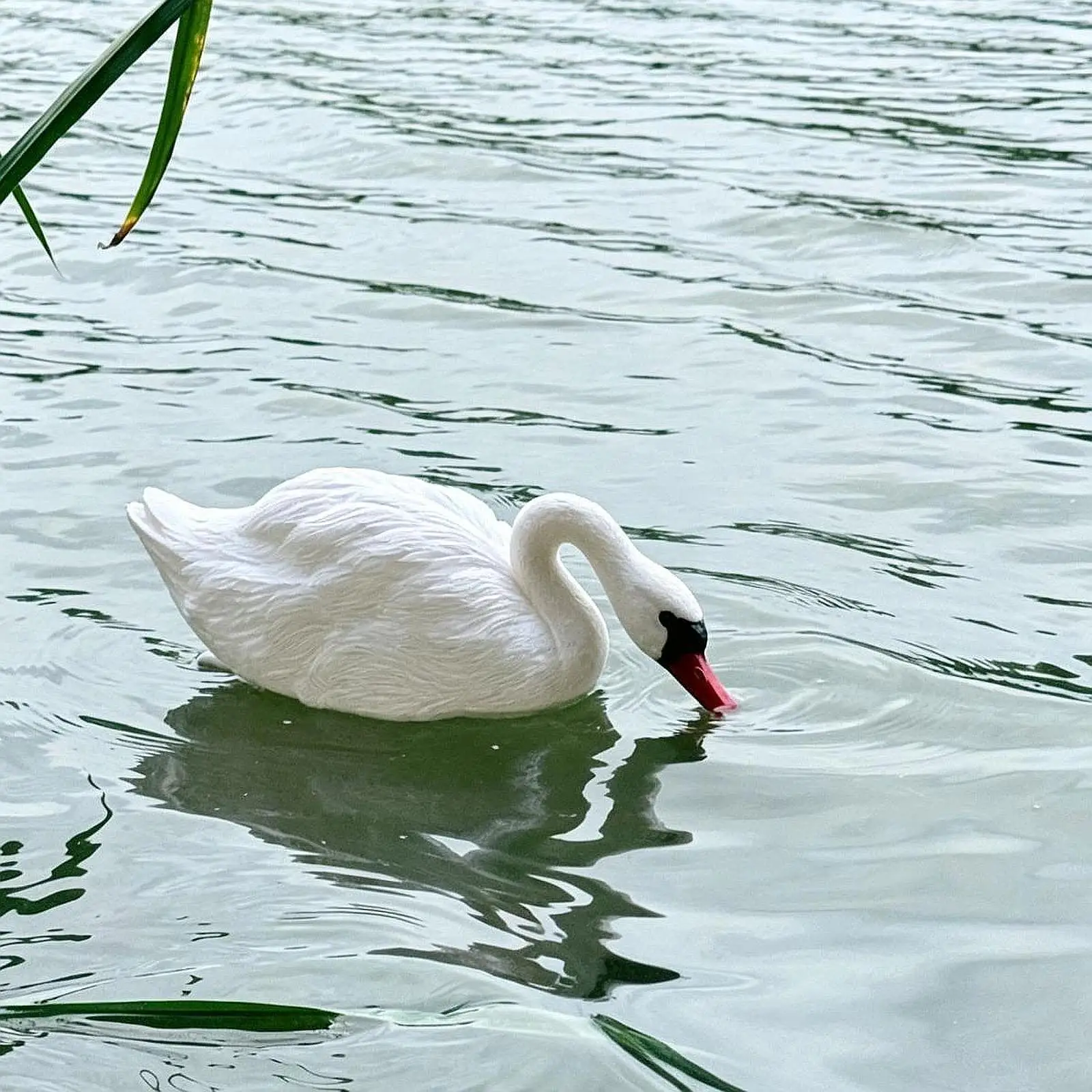 Swan Figurine Swimming Sculpture Garden Decor Floating Swan Decoy for Pond Fields