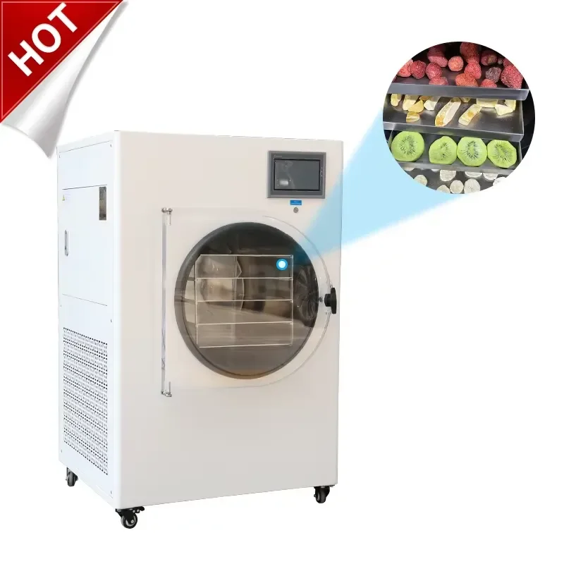 Vacuum Drying Equipment for Food Processing Industrial Grade Dryer Machine with Competitive Pricing