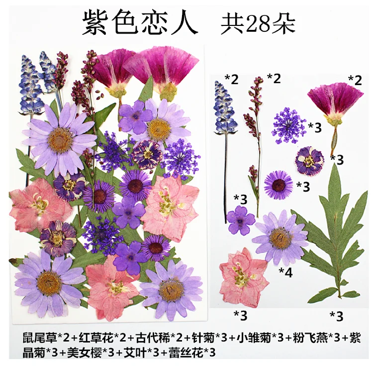 

Natural Pressed Flower Material Pack DIY Colorful Dried Flower Pressed Flower Combination Pack Real Flower Petals for Face Decoration and Photo Frame Specimens