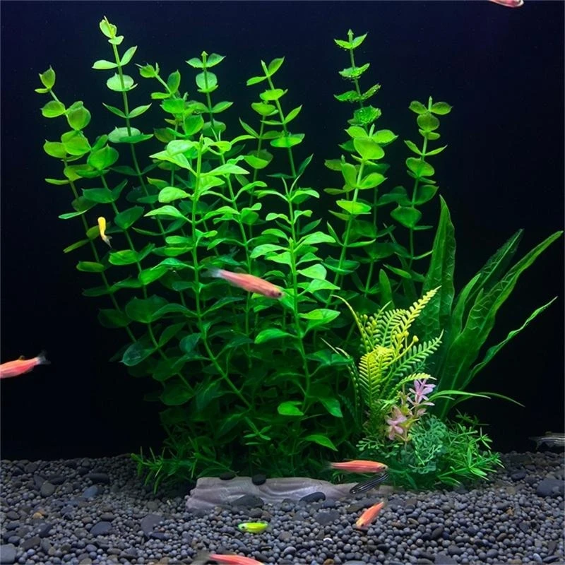 

Fishtanks Landscaping Water Plant with Base Aquariums Safe Decorative Green Plant