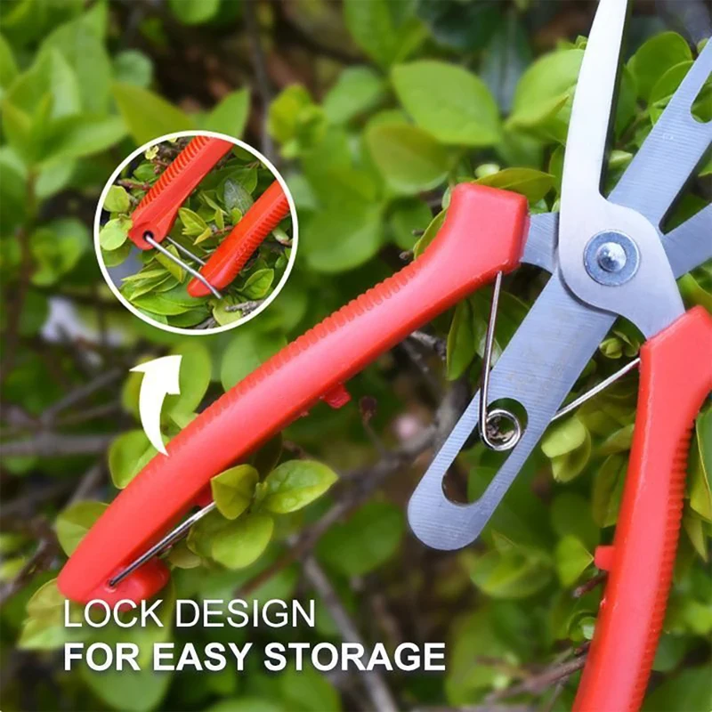 Imagem -03 - Garden Pruning Shears Branches Scissors Fruit Picking Scissors Flowers Trim Orchard Farm Trees Shears Hand Gardening Tools Pcs