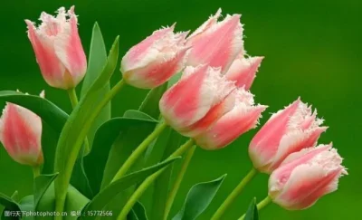 

Для WLtoys 1/24 244016 LOSI 1/24 Micro-B Forearm Code: Металлические детали для модернизации и тюнинга радиоуправляемых машинок