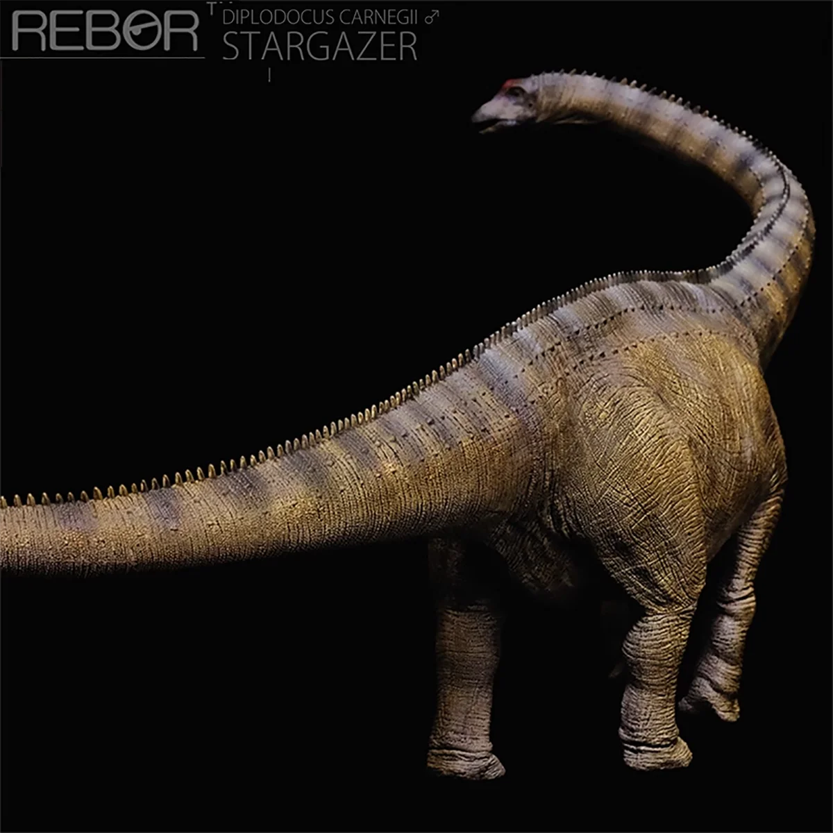 REBOR 1:35 Jurassic Dinosaur Dino Might Diplodocus Adult Children Museum Grade Figure Model Toys