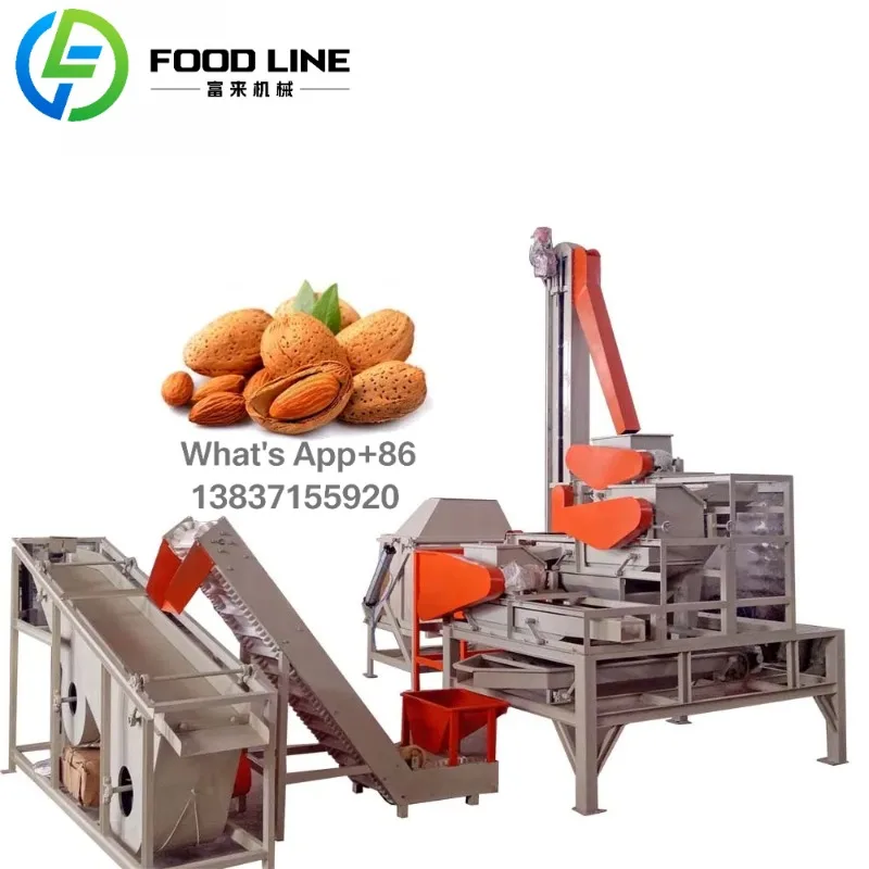 Línea de procesamiento de tostado y pelado de núcleo de avellanas de palma de almendra completamente automática