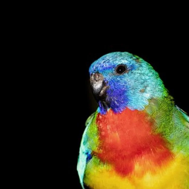 

Rc 2 шт. 02033 металлическая ось колеса для 1/10 HSP 94107 94108 94111 94123 запасные части