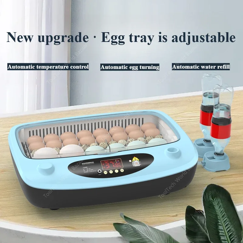 Incubadora inteligente automática, mini incubadora de huevos de gallina rutina para el hogar pequeño