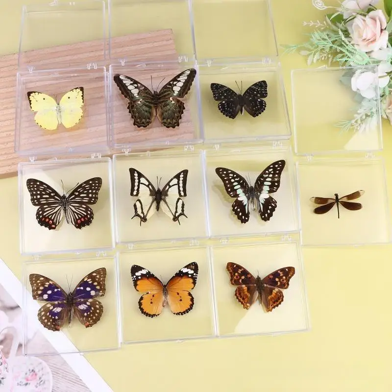 1Pcs Artificial Chinese Butterfly Specimen Home Decor, Exquisite Gift for Girls Children's Day Teacher's Day