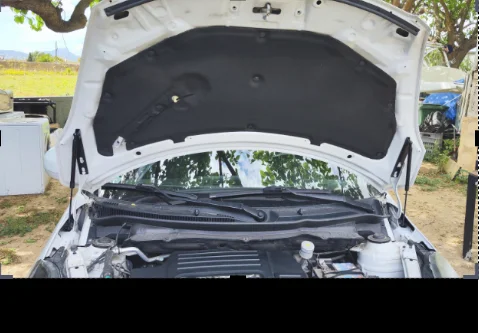 

Hood Damper For 2010-2017 Suzuki SWIFT sport AZG ZC72S ZD72S ZC82S ZC32S Front Bonnet Gas Struts Lift Support Shock Piston Rods