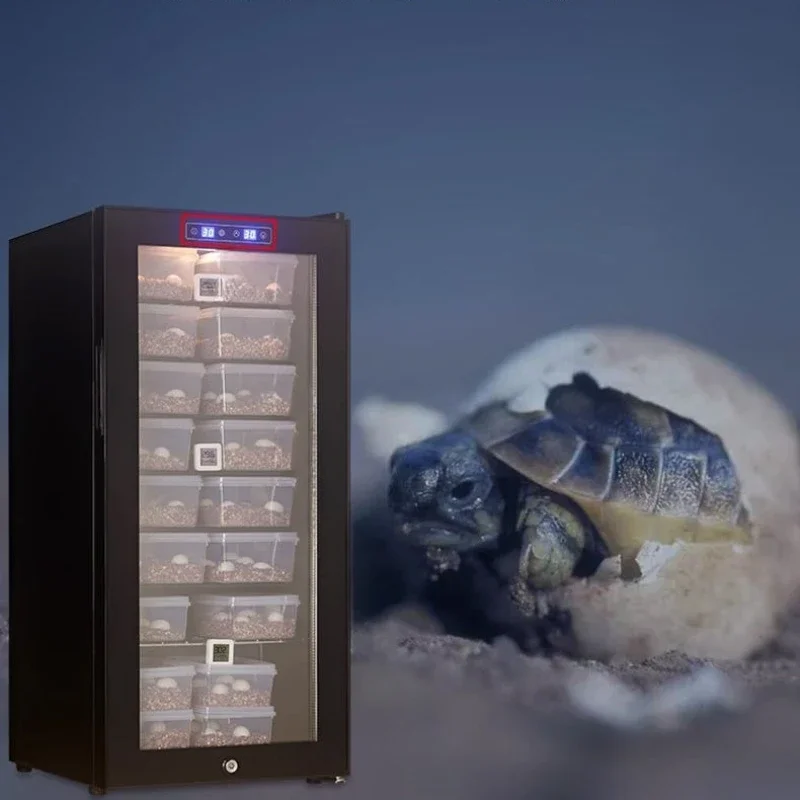 

Incubator, turtle palace incubation machine, pet incubator
