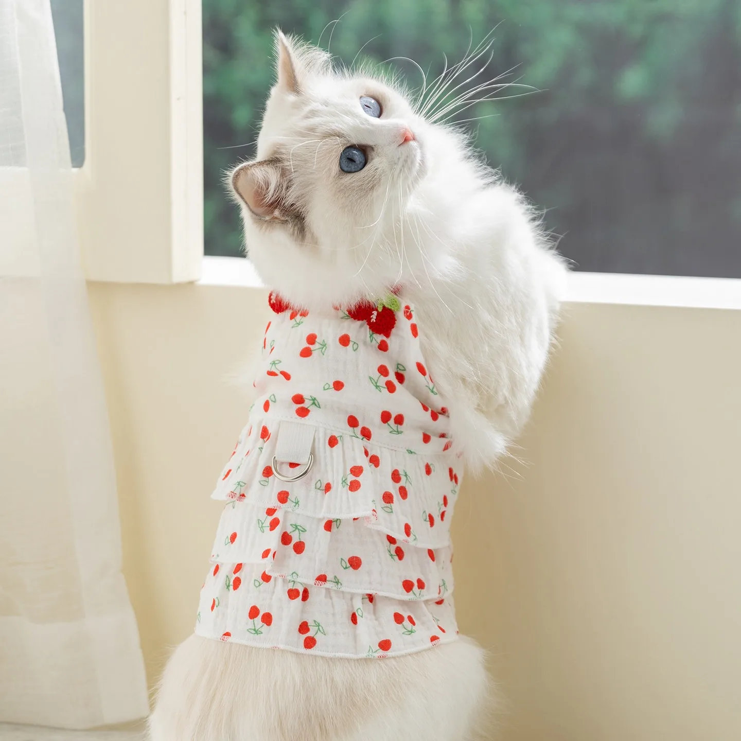 Schöne Kirschfarbene Hosenträger für Welpen, Sommer-Haustierkleider, Dünne Teddy-Kleidung, Hunderock für Weibchen, Hundezubehör