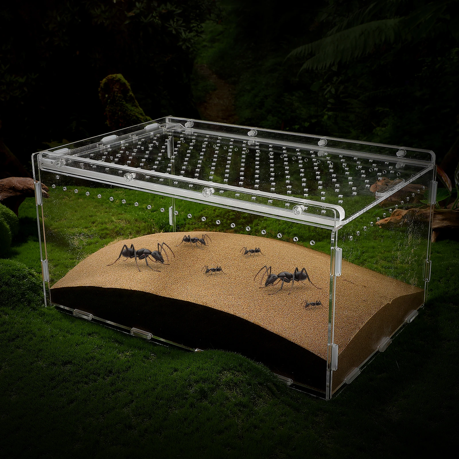 

Reptile Box Small Snake Habitat Lizard Feeding Tank Enclosure Gecko Cage Terrarium Breeding Box Clear Safety Design