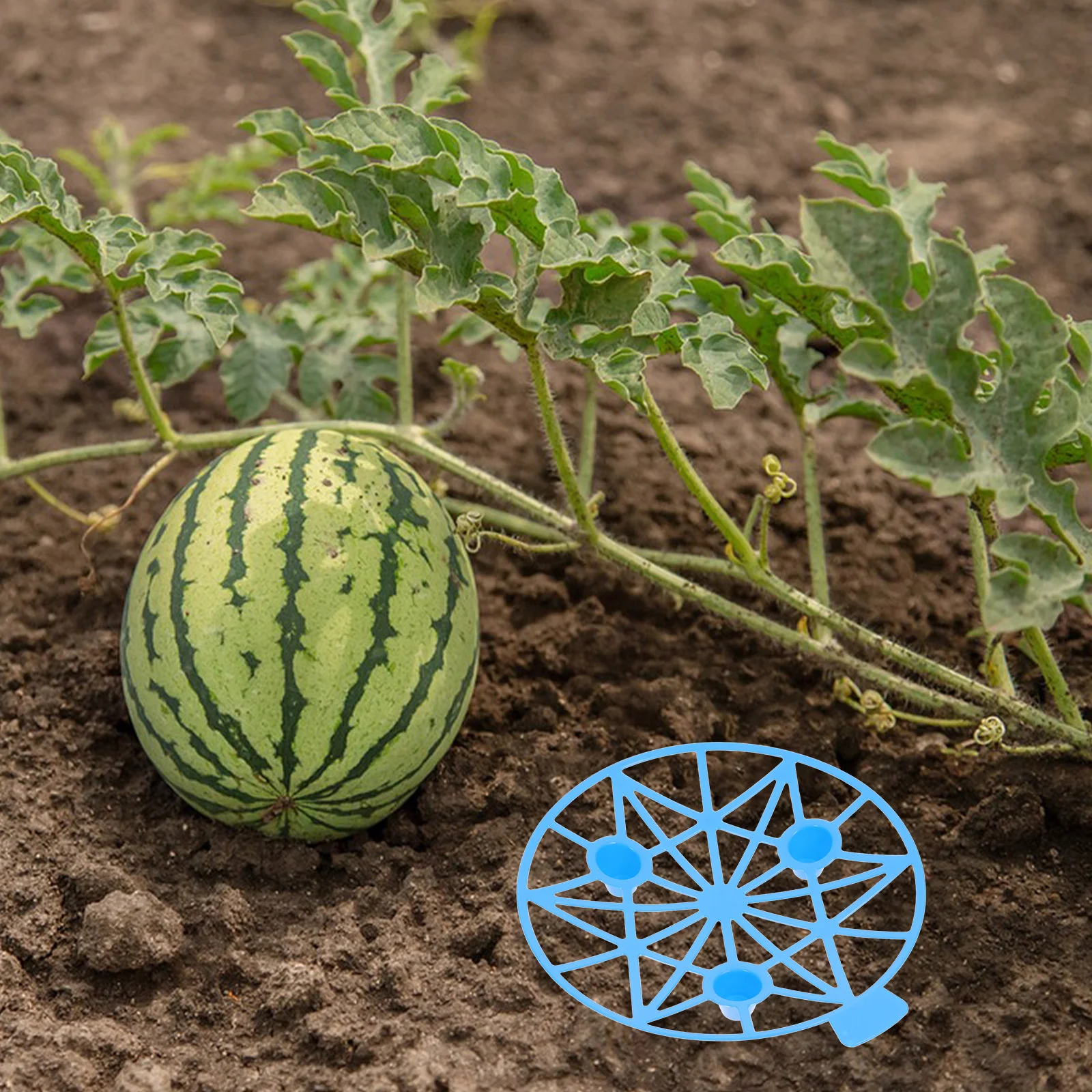 

5Pcs Fruit Support Melon Cradle Reusable Watermelon Holder Garden Plant Protector Melon Holders Pumpkin Cradle Fruit Trellis