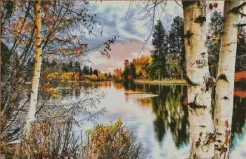 

Осенний пейзаж Шитье 18CT 16CT 14CT Наборы для вышивки крестом без печати Вышивка Искусство DIY Ручная работа Рукоделие Домашний декор