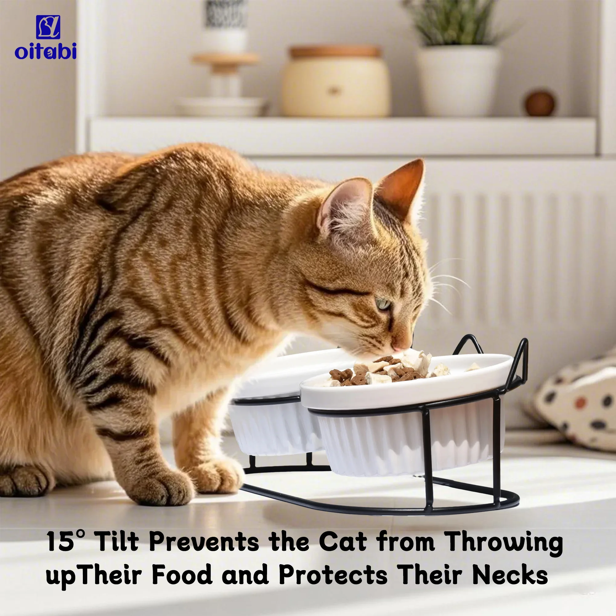 Ciotole per gatti rialzate Oitabi, 15 ° Piatti per gatti rialzati anti-vomito con supporto inclinato per cibo e acqua, 2 ciotole in ceramica per gatti e cuccioli