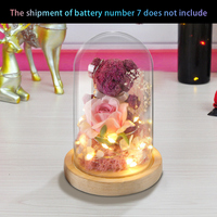 Eternal Preserved Flowers Bear with LED Light Cute Bear Flower Rose Glass Cover Forever Flowers Gifts Girlfriend Valentines Gift