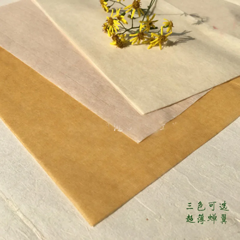 

10 Pcs Chinese Half Rice paper Calligraphy Writing Painting Paper Yan Pi Can Yi Copy Lin Mo Xuan Zhi 34 x 68 cm