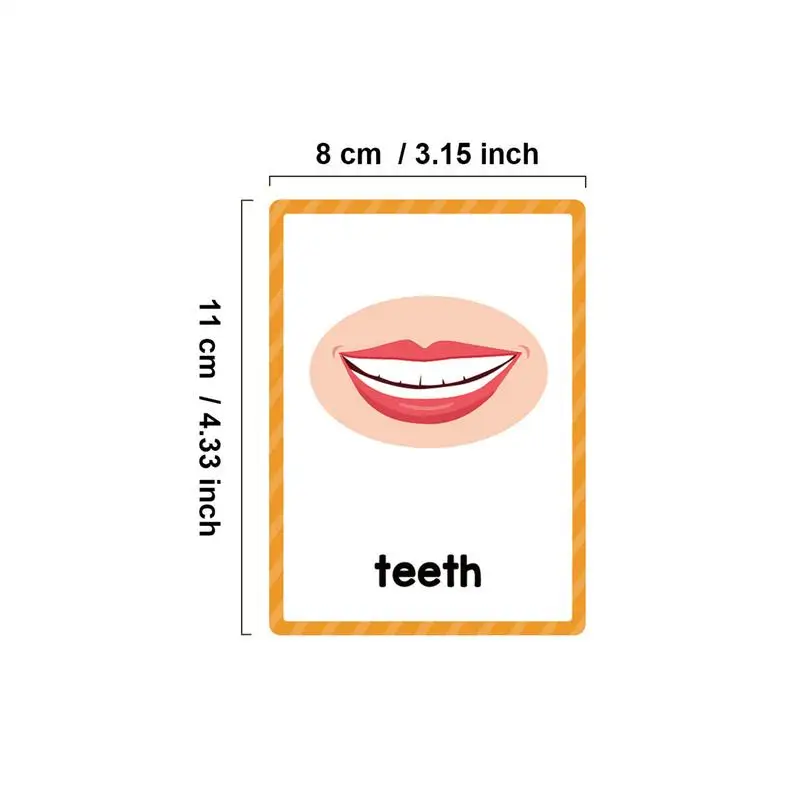 Body Parts Flash Cards English Pocket Card 15Pieces Body Parts Flash Card Vocabulary Words Flashcard Educational Learning