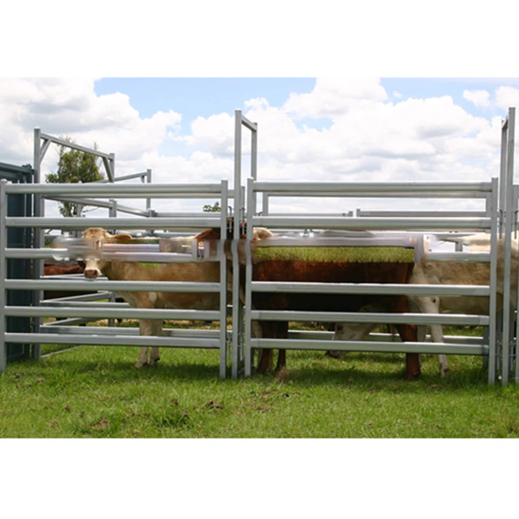 Puertas de granja para ovejas, ganado, Búfalo, Toro, bovini, vaca, valla de paddock