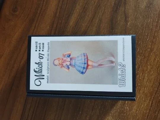 

1/12 Anime Which-07 Kit Kawaii Resin GK DIY White Assembly GK Model Statue Toys Doll Collection Gifts