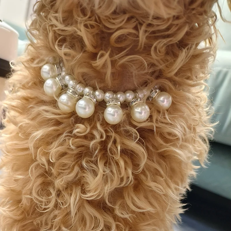 럭셔리 진주 펜던트 강아지 목걸이 목걸이, 소형견 고양이 치와와 포메라니안 테디 블링 라인스톤 애완 동물 액세서리