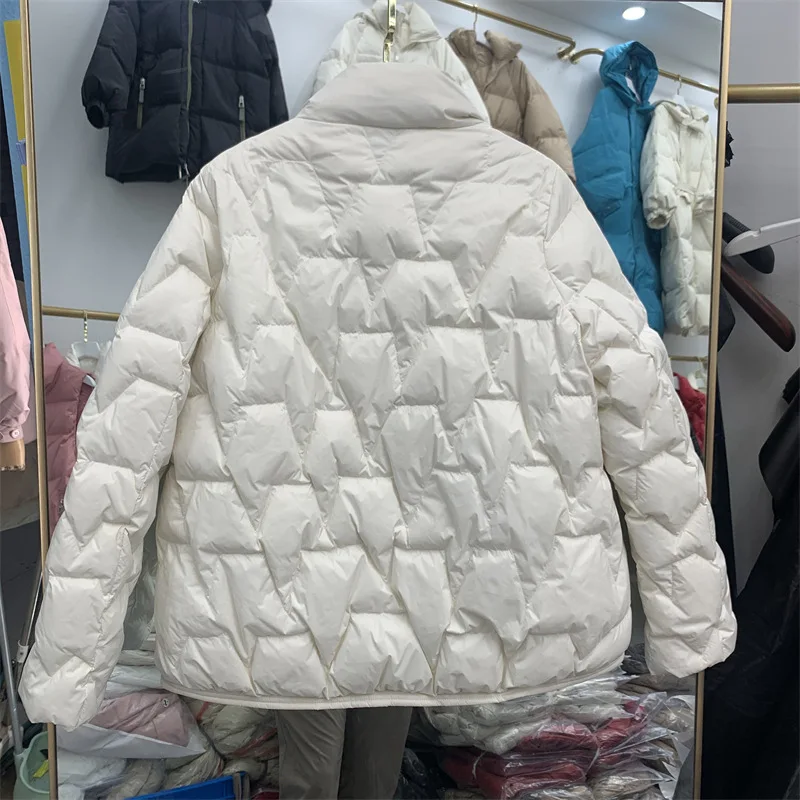 Winter Autumn Loose Padded Zipper Solid Color Jacket Stand Collar Casual All Match Warm White Duck Down Coat For Women