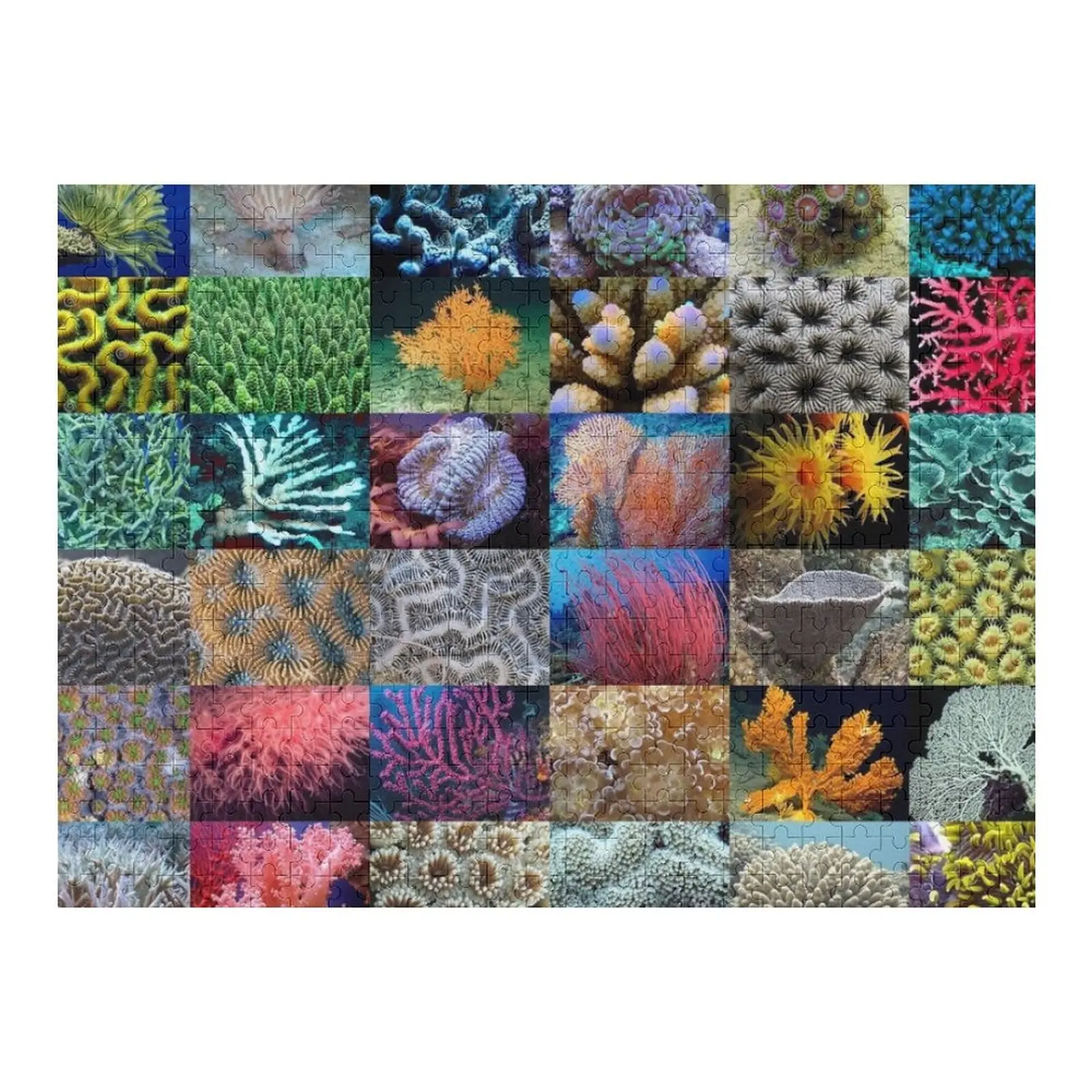 

Coral Jigsaw Puzzle Personalized Toys For Children With Photo Custom Wooden Gift Puzzle