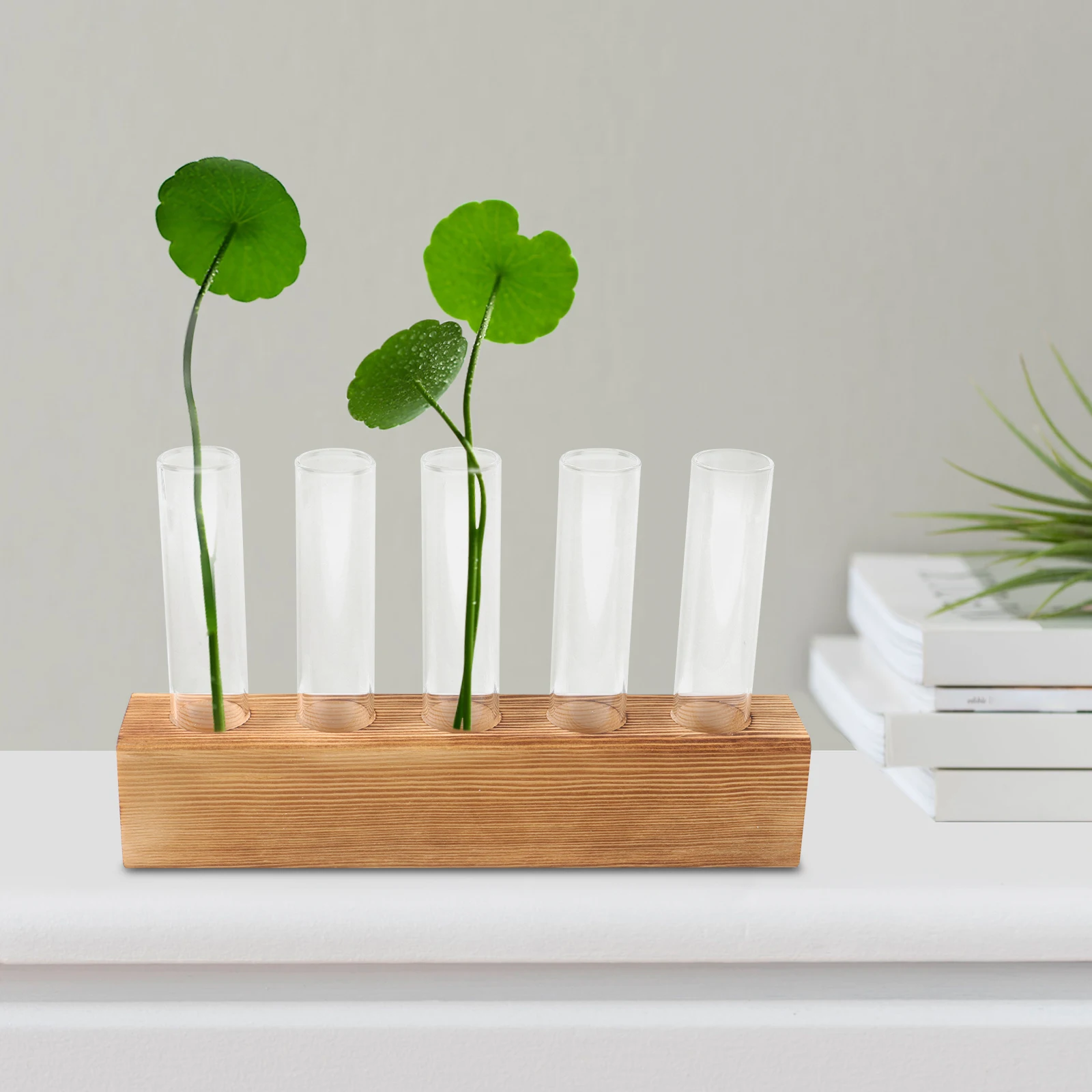 

hydroponic glass planter vase hydroponic desktop vase decor hydroponic plants vase decor table vase decor