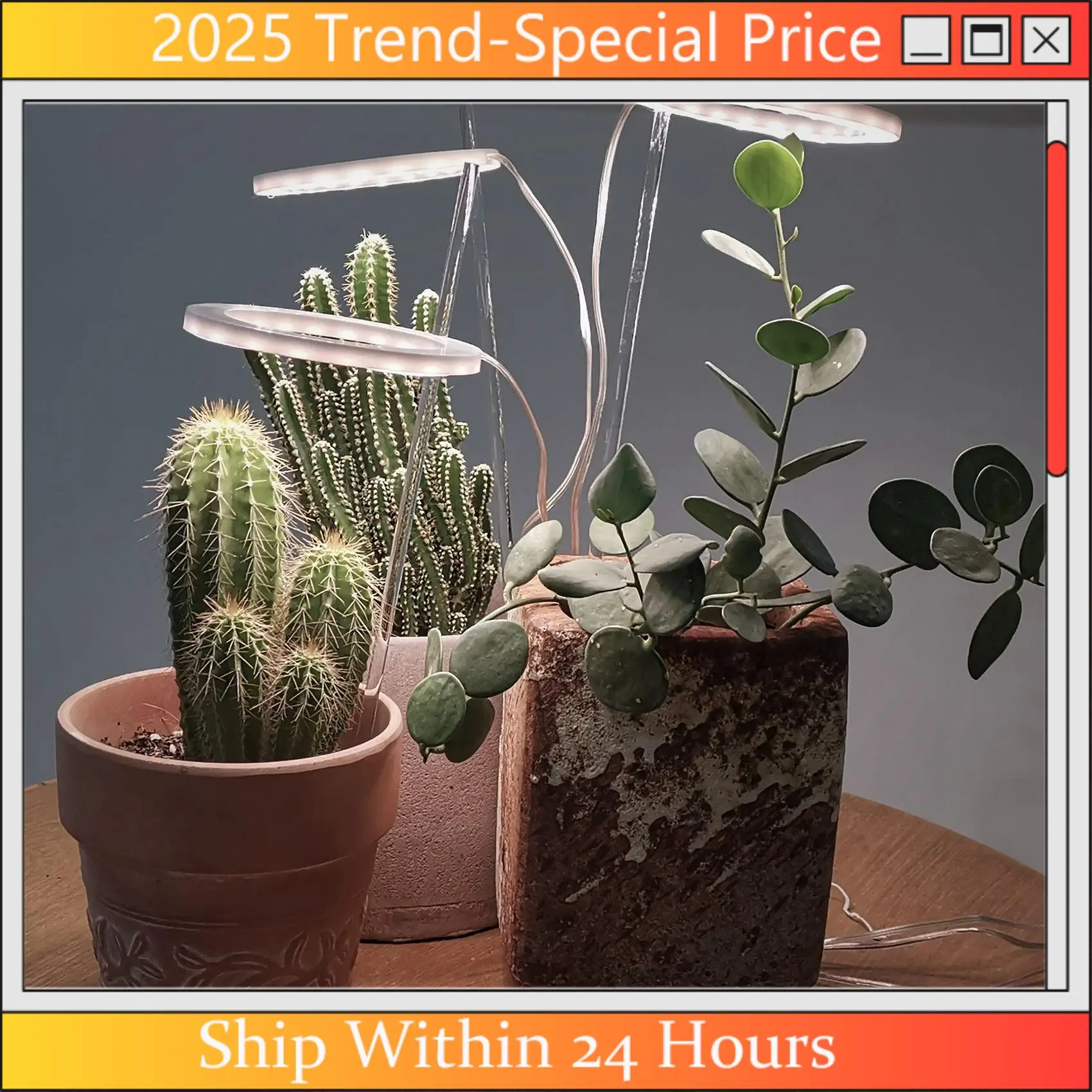 Aa64 led cresce a luz espectro completo phyto crescer lâmpada usb anjo anel lâmpada para suculentas, crescimento de plantas de flores