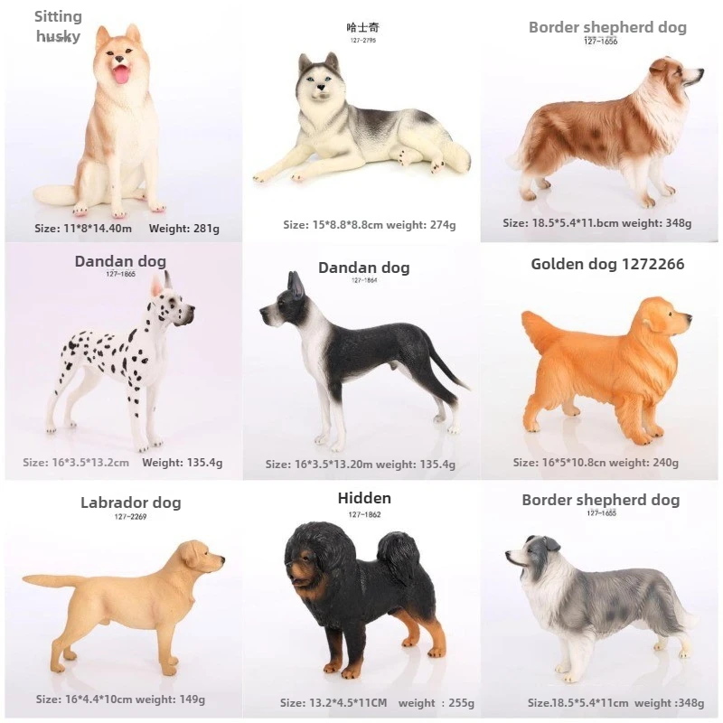 Juego de modelos de perros con animales sólidos realistas, mastín tibetano, Border Collie, Great Dane, Golden Retriever, Husky, juguete en miniatura