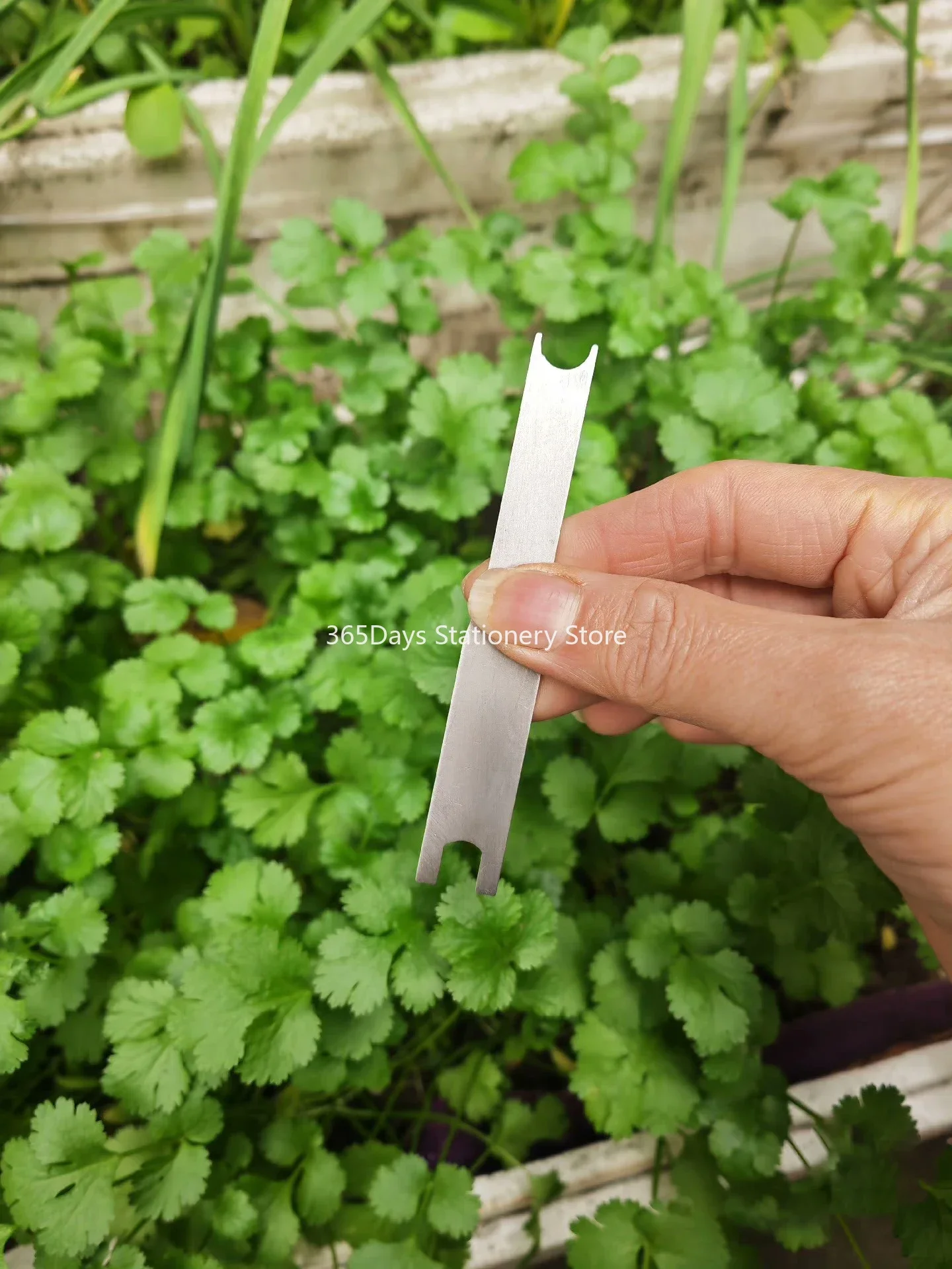 Imagem -04 - Caneta Pistão Removedor Chave Ferramenta para mb 146 e 149 Pelikan M800 Artigos de Papelaria Material de Escritório Acessórios Ferramenta de Desmontagem Peças