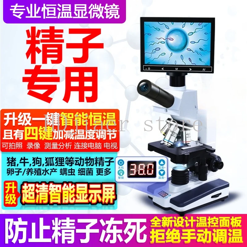 

A constant temperature microscope with a display screen, specially designed for livestock sperm detection