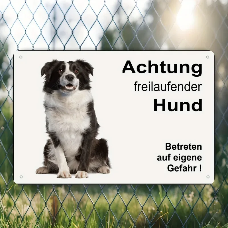 （2D Tin painting）Freewheeling Border Collie Dog Tin Sign – Metal Wall Plaque, Rustic Door Sign, Gift Idea 20x30cm