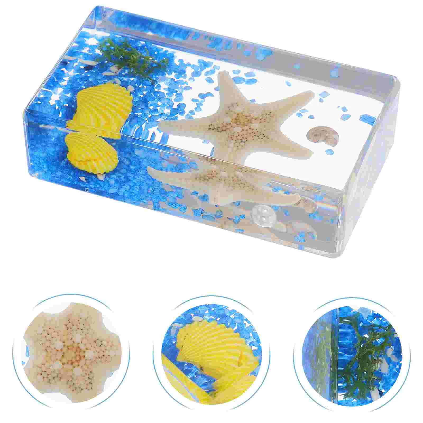 Ocean Specimen Sea Paperweight Scientific for Kids Crab Toy Paperweights Resin Toys Cube