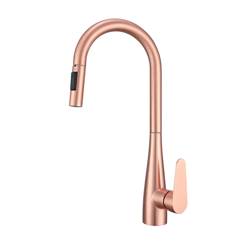 Brass Pull Out Kitchen Faucet Hot Cold Water Sink Tap for Dish Washing Multi Function Home Use